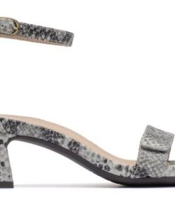 Vividvector.shopec730a6b8b 5