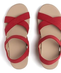 Vividvector.shoped7133f665 2