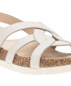 Vividvector.shopef5b8bf7d1 1