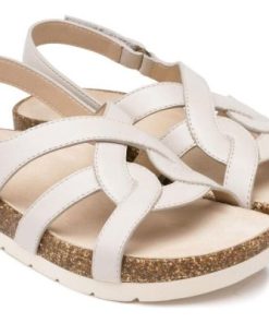 Vividvector.shopef5b8bf7d1 4