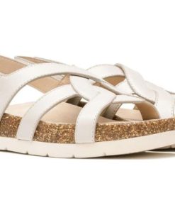 Vividvector.shopef5b8bf7d1 5