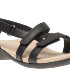 Vividvector.shopf1a67a0c92 1