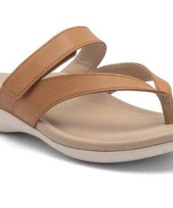 Vividvector.shopf44ce3fae7 1