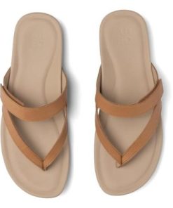 Vividvector.shopf44ce3fae7 2