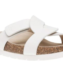 Vividvector.shopf872da7b89 1