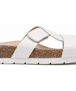 Vividvector.shopf872da7b89 5