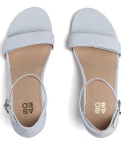 Vividvector.shopf9bdc65962 2