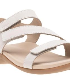 Vividvector.shopfb1d28ed85 1