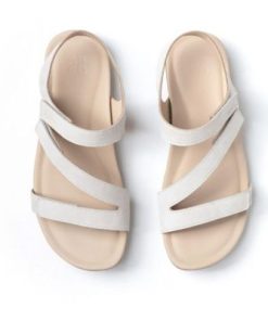 Vividvector.shopfb1d28ed85 2