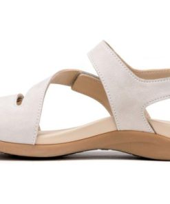 Vividvector.shopfb1d28ed85 4