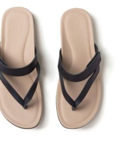 Vividvector.shopfcec81b0d3 2