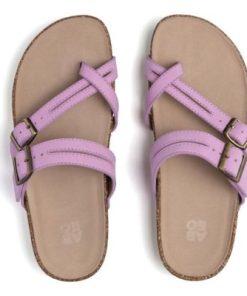 Vividvector.shopfdd08387fb 2