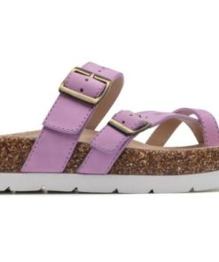 Vividvector.shopfdd08387fb 5