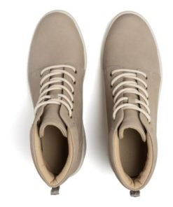 Vividvector.shopff444a3df2 2